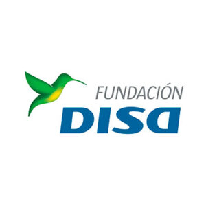 Fundación Disa